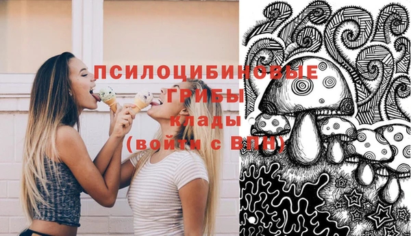 дживик Михайловск