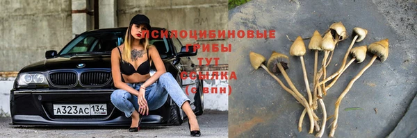 мдпв Михайловка