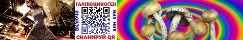это как зайти  Покров  Галлюциногенные грибы Cubensis  ОМГ ОМГ ссылки 