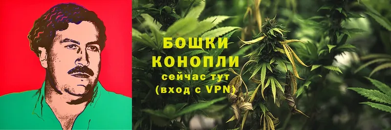 МАРИХУАНА LSD WEED  Покров 